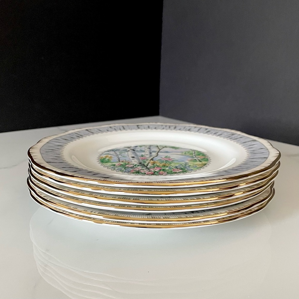 SET of 6 Silver Birch Salad or Dessert Plates by Royal Albert - Picture 3 of 6